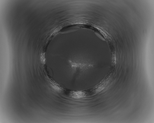 X0000116440383200912081601