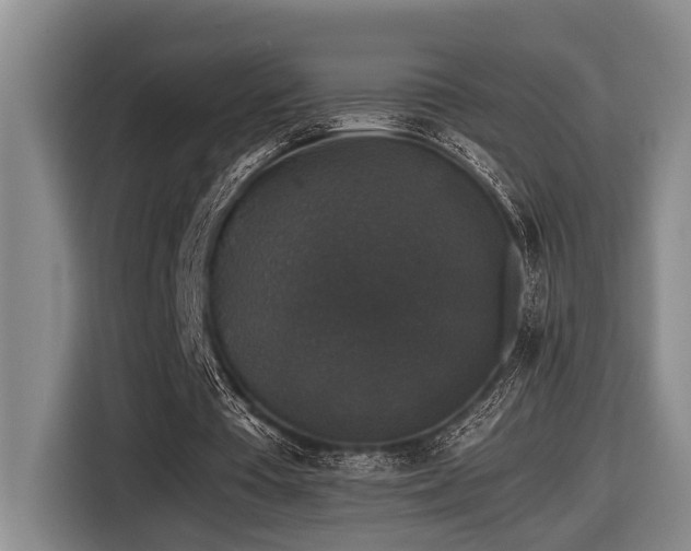 X0000116440385200912081601