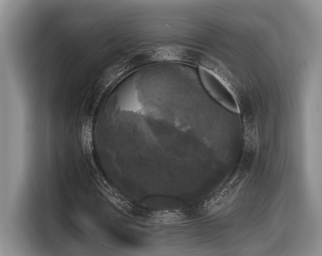 X0000116440386200912081601