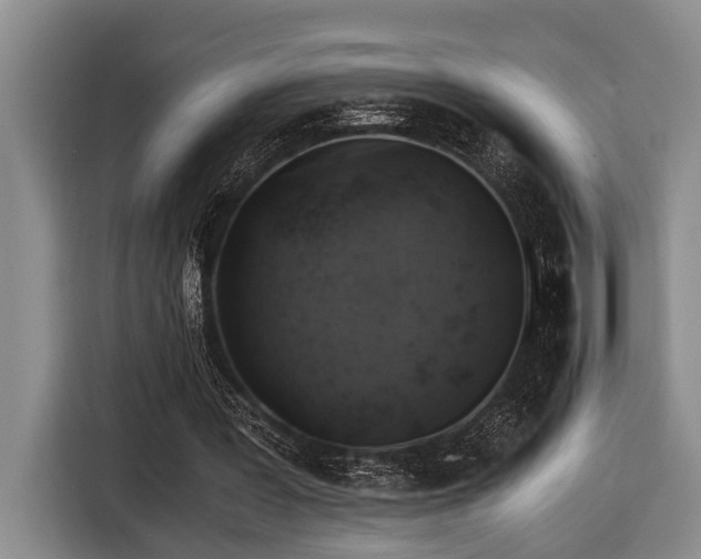 X0000116440387200912081601
