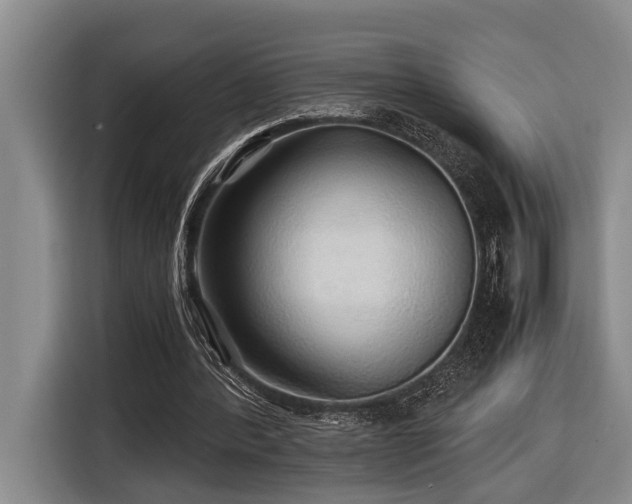 X0000116440388200912081601