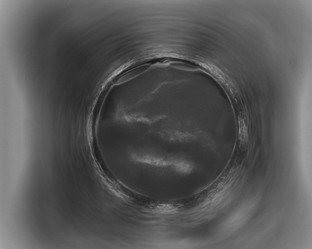 X0000116440390200912081601