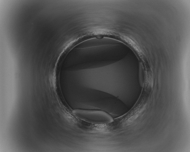X0000116440391200912081601
