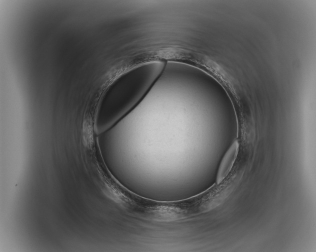 X0000116440393200912081601