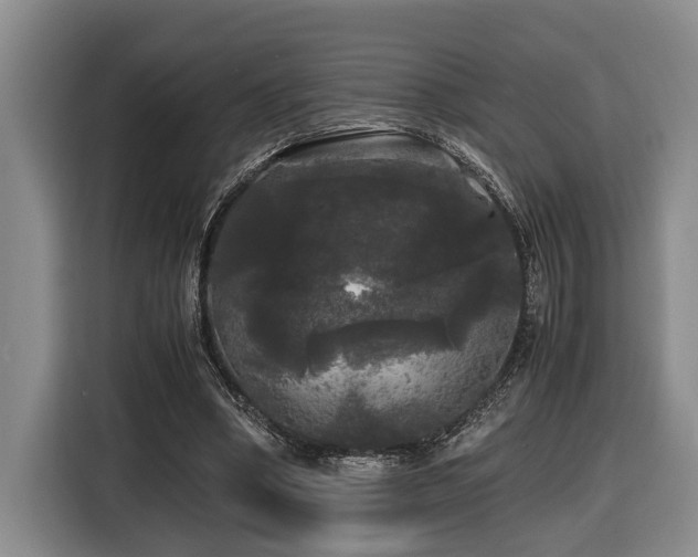 X0000116440394200912081601