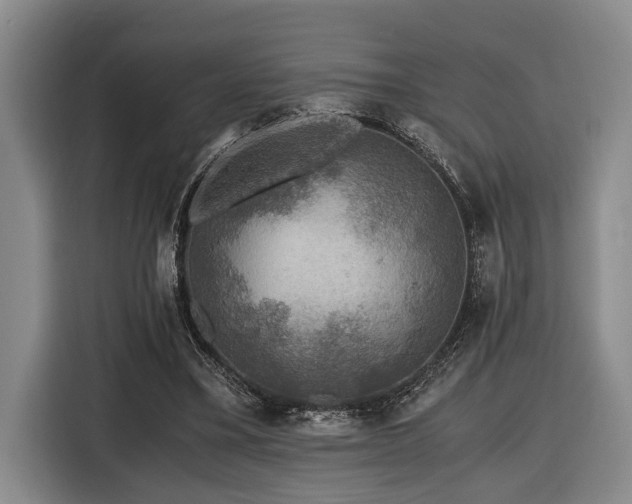 X0000116440395200912081601