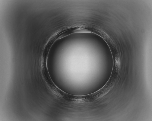 X0000116440396200912081601
