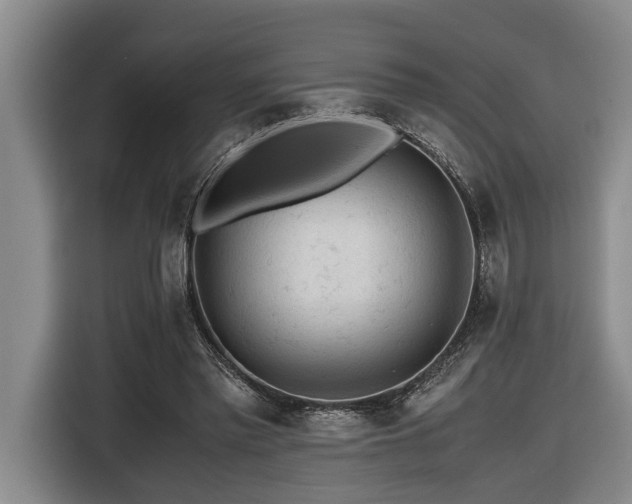X0000116440397200912081601