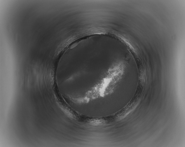 X0000116440402200912081600