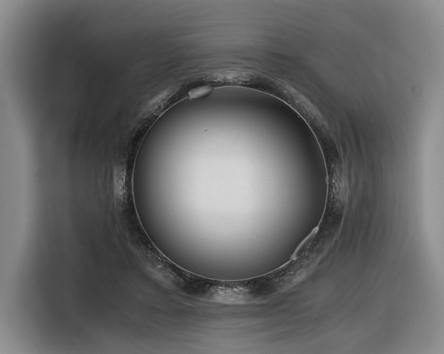 X0000116440403200912081600