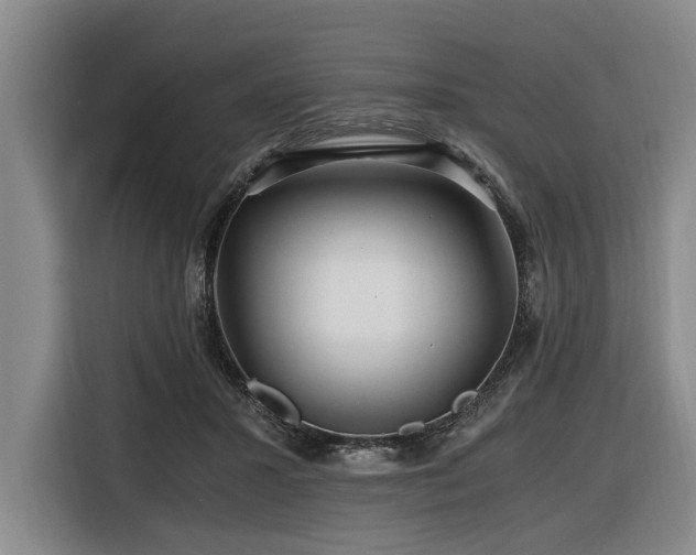 X0000116440407200912081600