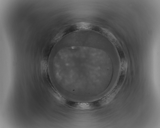 X0000116440409200912081600
