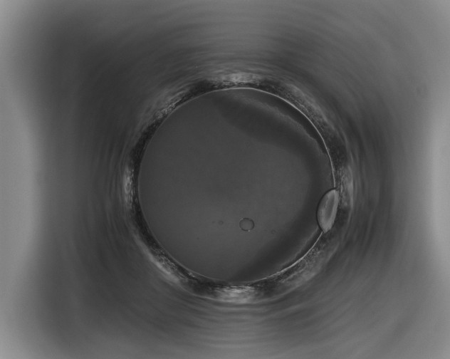 X0000116440410200912081600