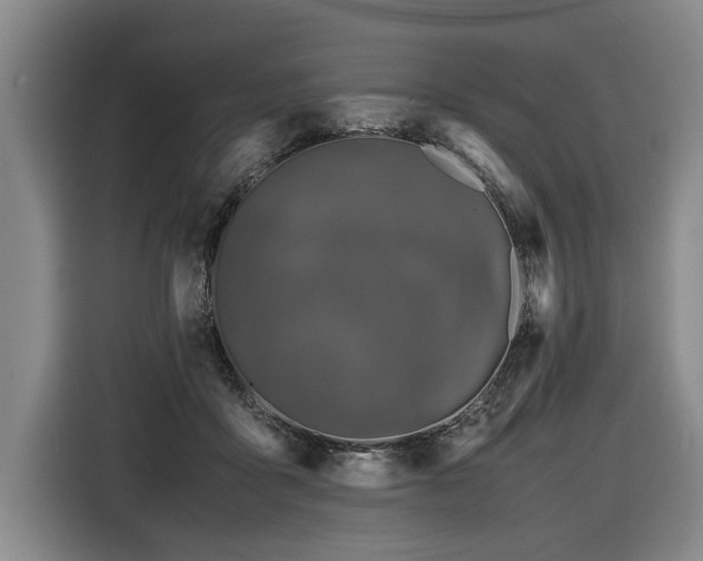 X0000116440411200912081600