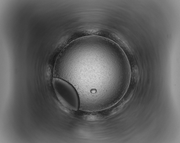 X0000116440412200912081600