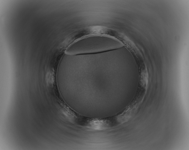 X0000116440413200912081600