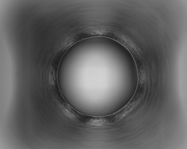 X0000116440414200912081600