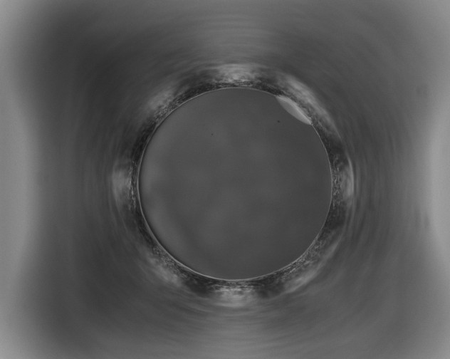 X0000116440415200912081600