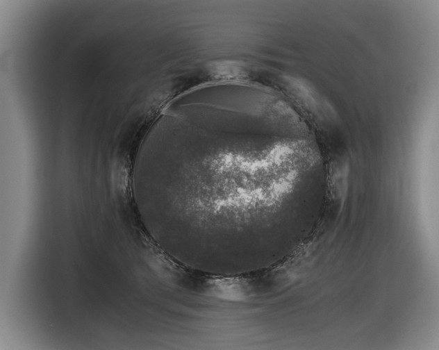 X0000116440417200912081600