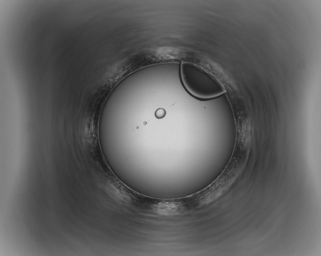 X0000116440418200912081600