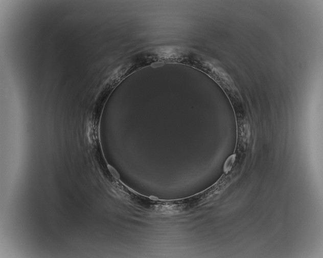 X0000116440419200912081600