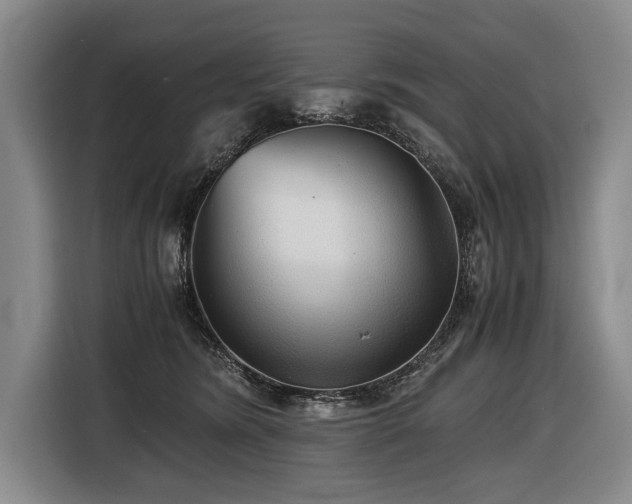 X0000116440420200912081600