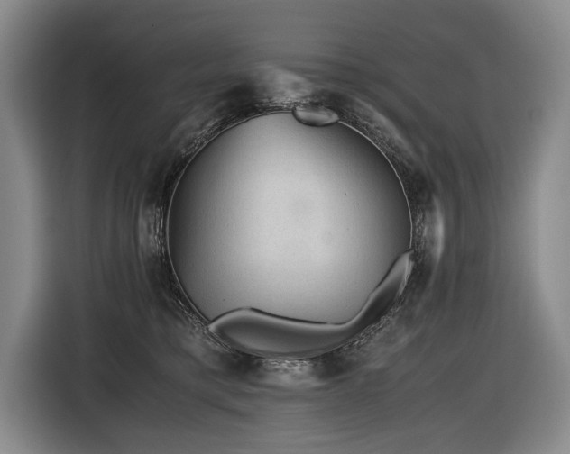 X0000116440421200912081600