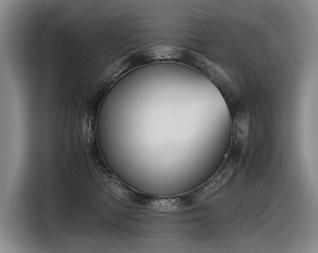 X0000116440422200912081600