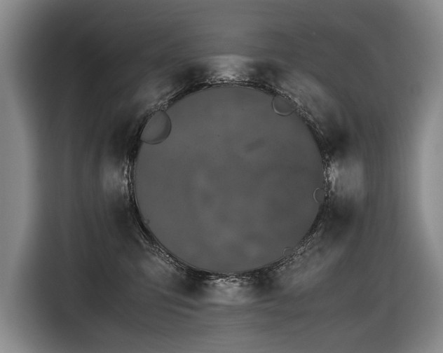 X0000116440423200912081600