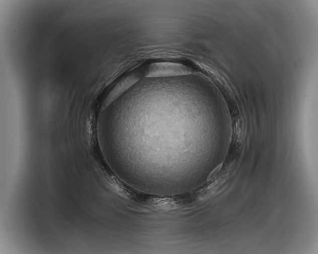 X0000116440424200912081600
