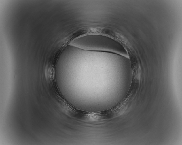 X0000116440425200912081600