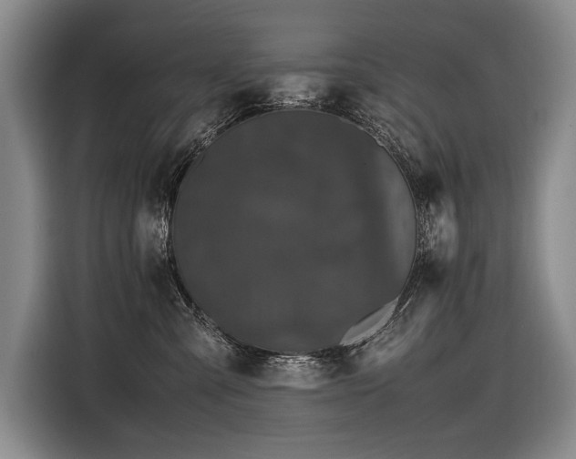 X0000116440427200912081600