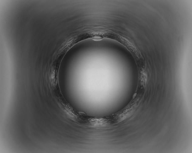 X0000116440428200912081600