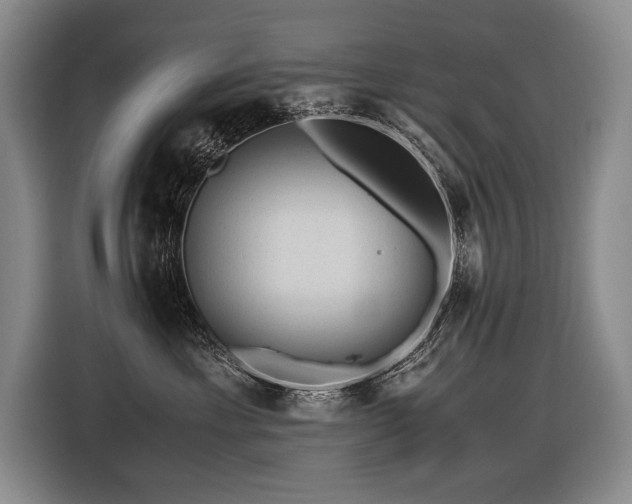 X0000116440429200912081600