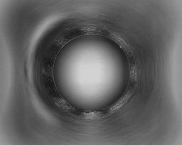 X0000116440430200912081600