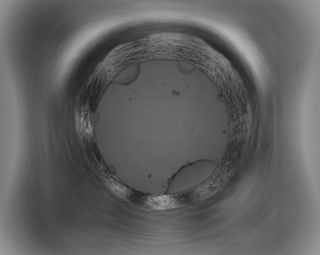 X0000116440431200912081600
