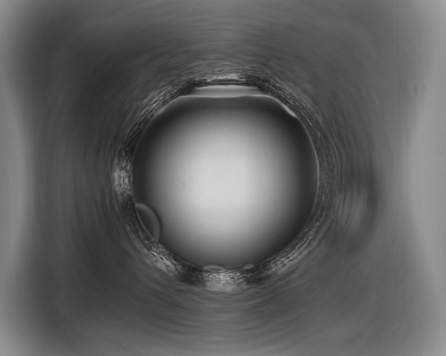 X0000116440432200912081600