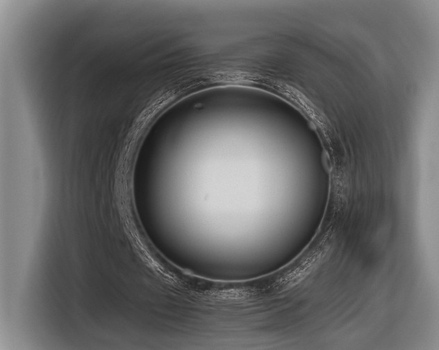 X0000116440433200912081559