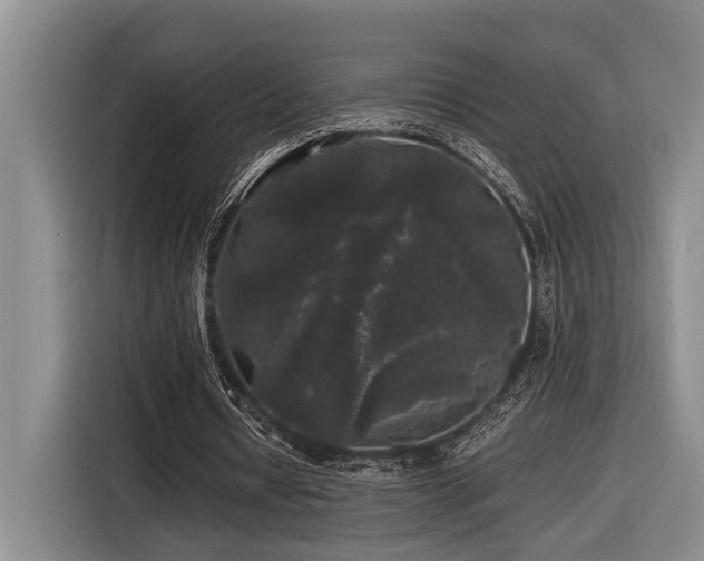 X0000116440434200912081559