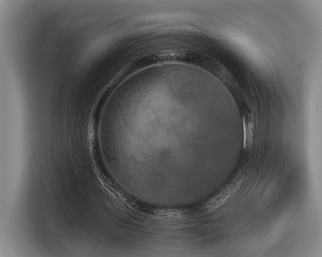 X0000116440435200912081559