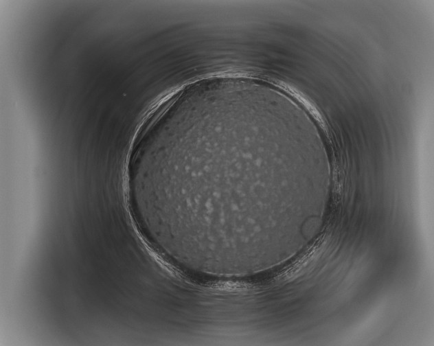 X0000116440437200912081559