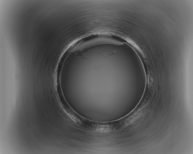 X0000116440438200912081559