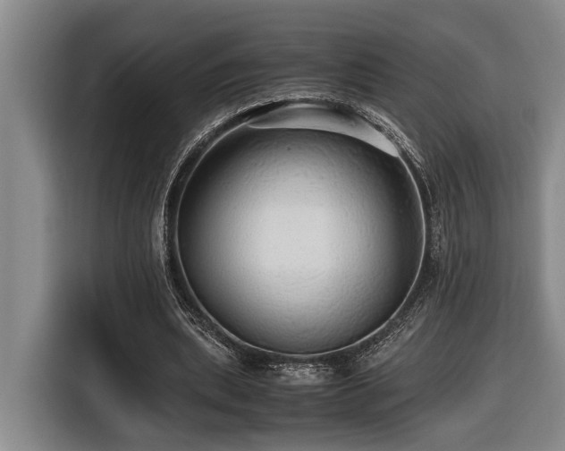 X0000116440439200912081559