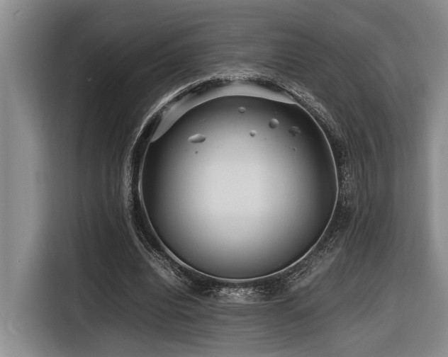 X0000116440440200912081559