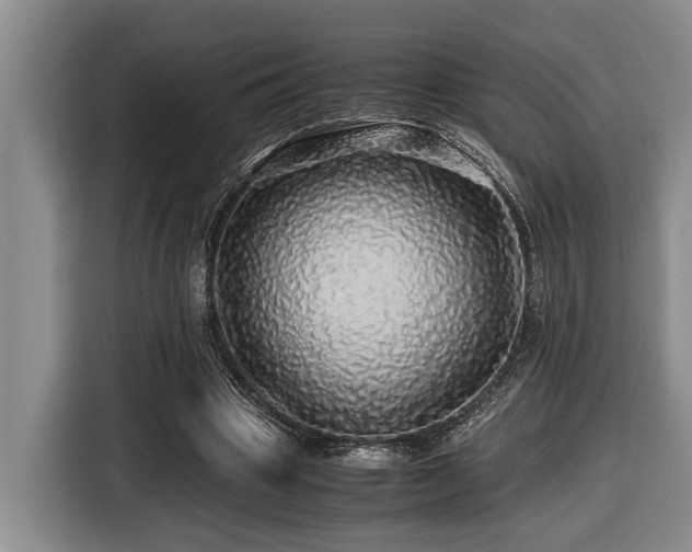X0000116440441200912081559