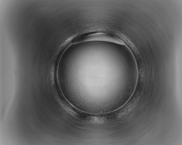 X0000116440442200912081559
