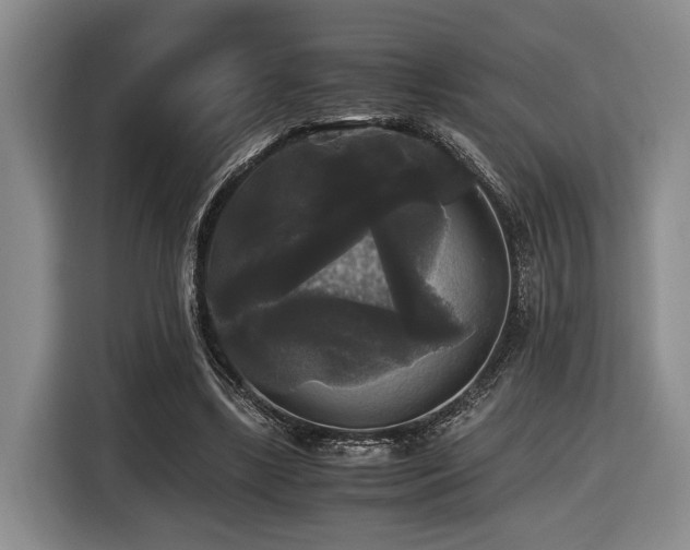 X0000116440443200912081559