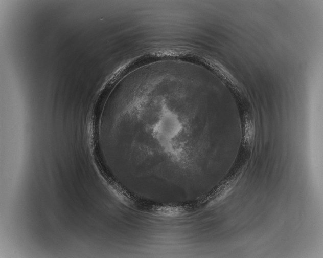 X0000116440444200912081600
