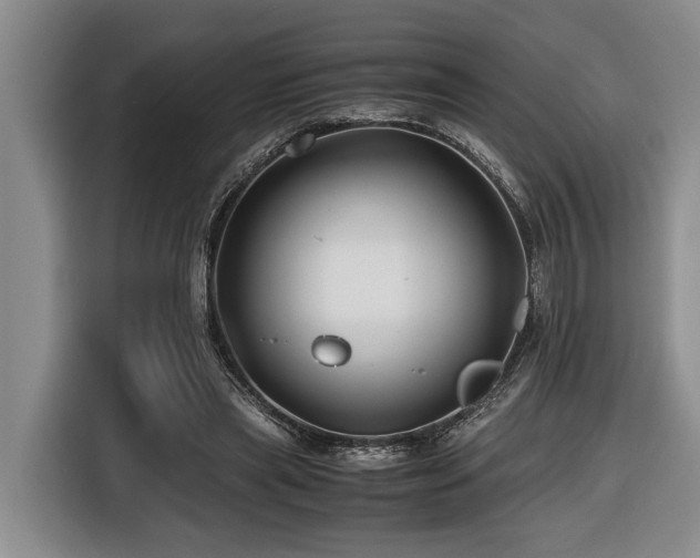 X0000116440445200912081600