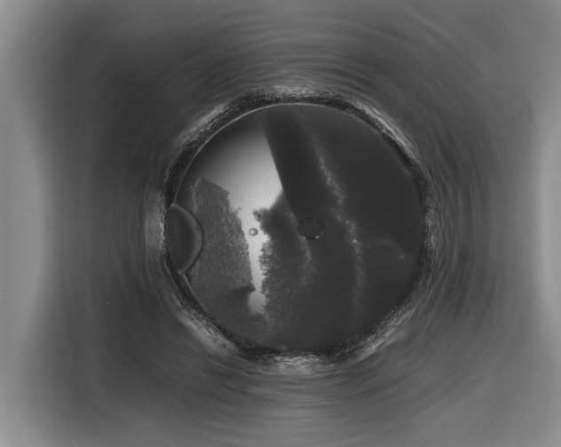 X0000116440446200912081600